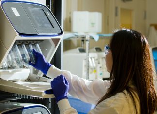 Ce știm despre celulele stem hematopoietice – CSH