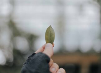 Jurnal de pacient – Un șir de vești bune (4/7)